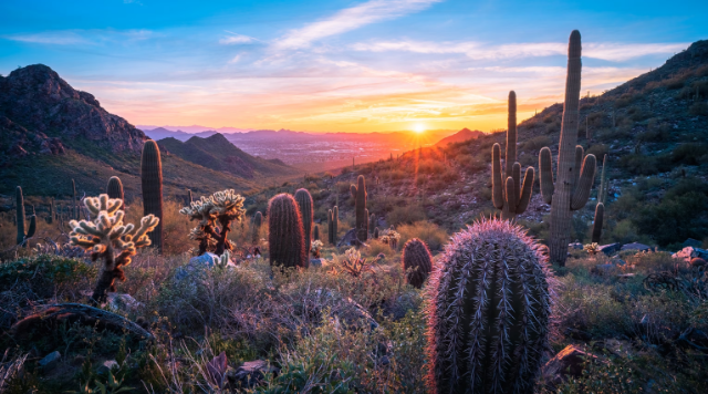Scottsdale, Az